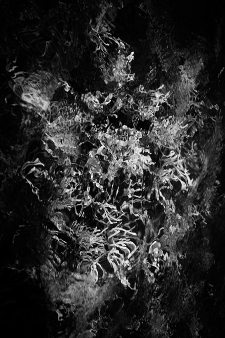 © William Scully 2009