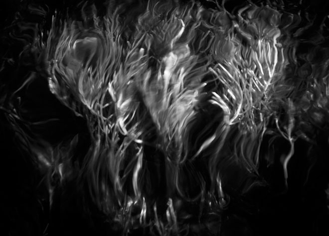 © William Scully 2009