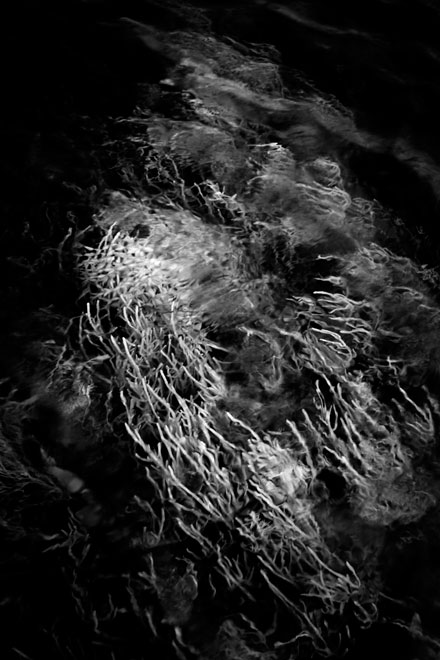 © William Scully 2009