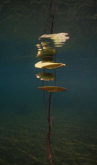 © William Scully 2011