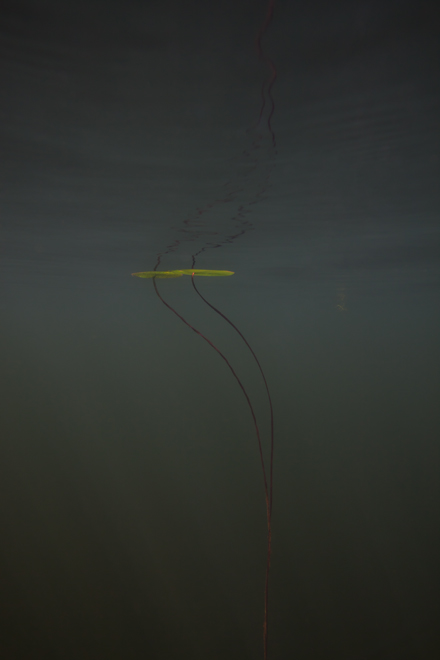 © William Scully 2009