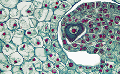 © William Scully 2019