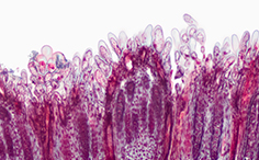 © William Scully 2019