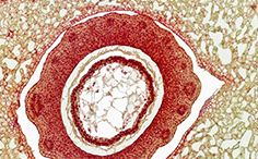 © William Scully 2019