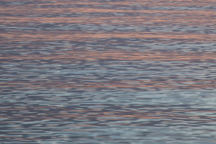 © William Scully 2012