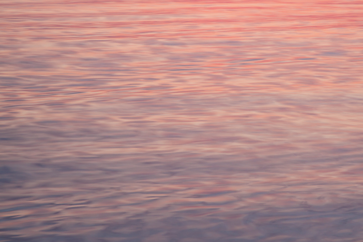 © William Scully 2012