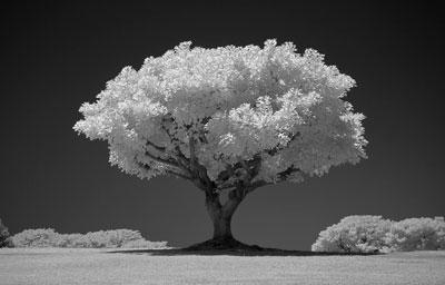 William Scully Fine Art Photography